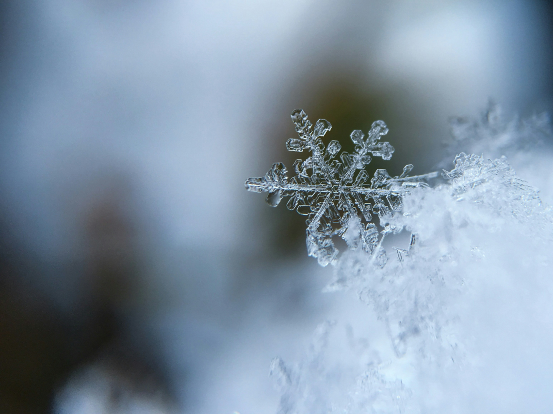 Photo by Aaron Burden - Unsplash