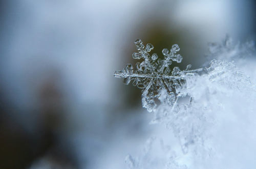 Photo by Aaron Burden - Unsplash
