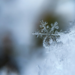 Photo by Aaron Burden - Unsplash